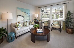 Solana Apartment Homes