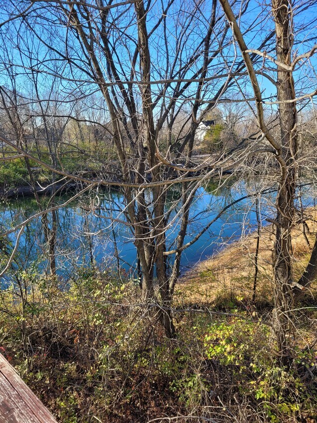 211 N Greenbriar Rd, Carterville, IL 62918 House for Rent in