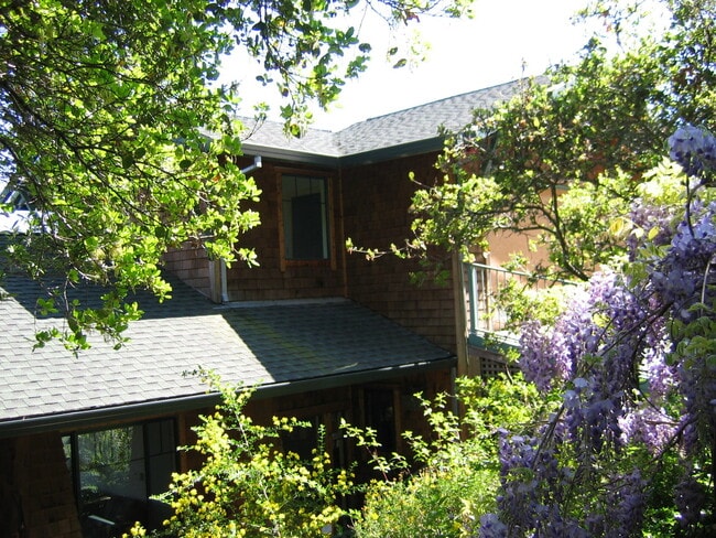 Building Photo - Beautiful craftsman house in hills of Mill...