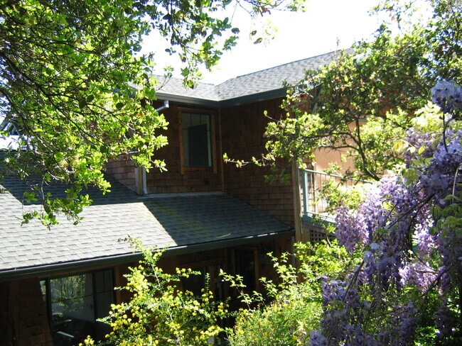 Foto del edificio - Beautiful craftsman house in hills of Mill...