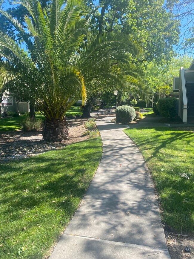 Complejo - 184 W Agua Caliente Rd