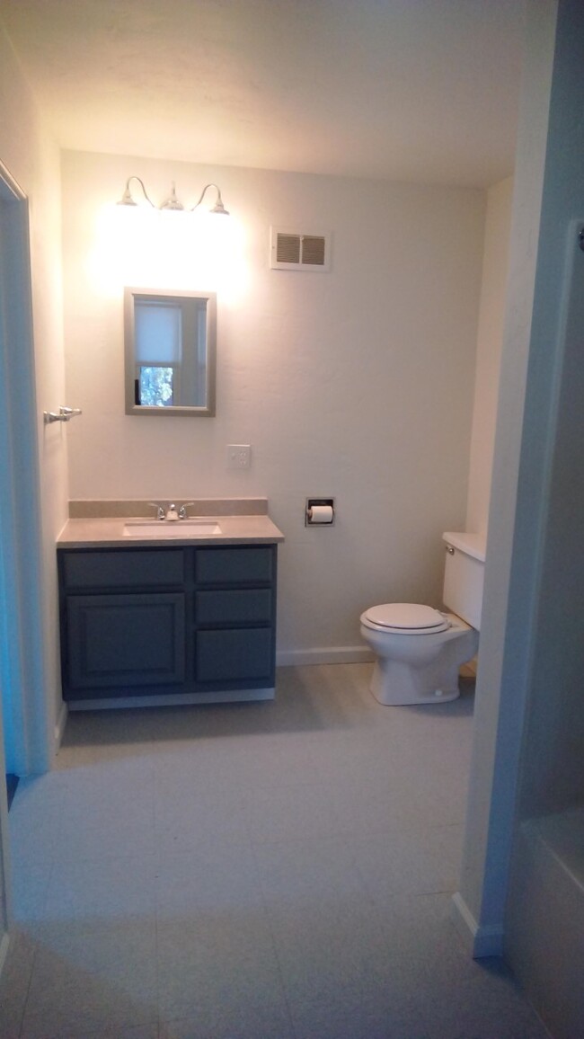 Full bath tub & Shower - 20 Brooklyn Heights