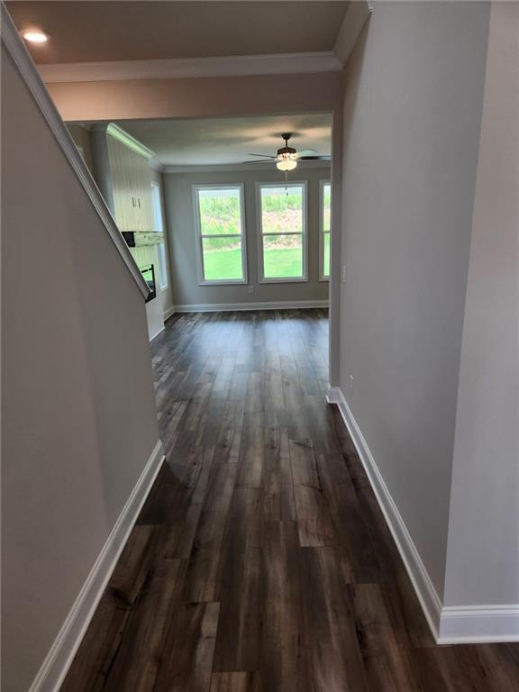 Foto del edificio - 3792 Dover Run Ln