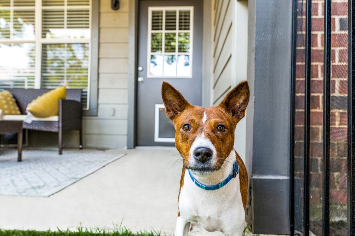 Dane Park Grapevine 2701 N Grapevine Mills Blvd Grapevine, TX