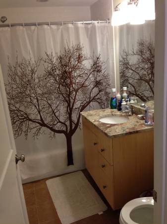 Full Bathroom - 156 Green St