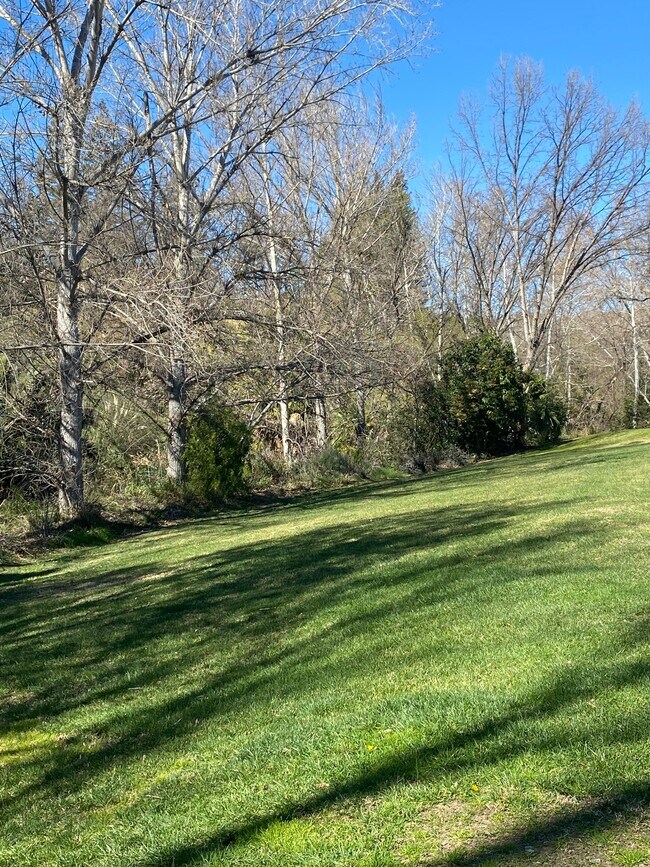 across the street, Greenbelt & creek, great for walking or exploring - 6044 Shadycreek Dr