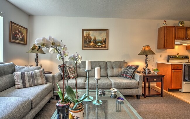 Living Room - 256 Peck Ln