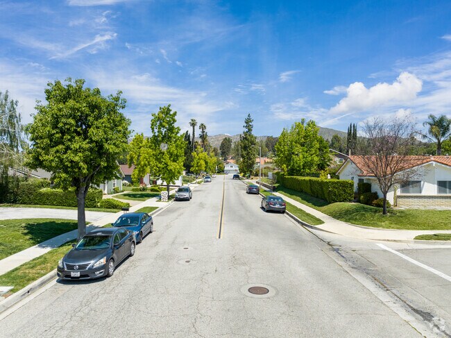 An Oak Park street lined with trees and a mixed style of homes.