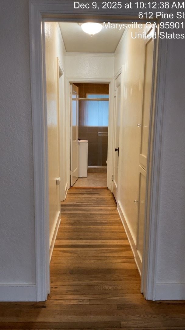 Building Photo - 1032