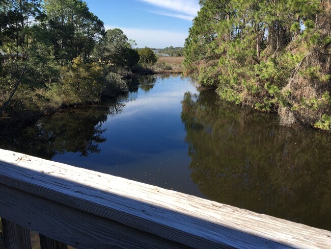 Bayfront Apartments Panama City Fl Apartments Com