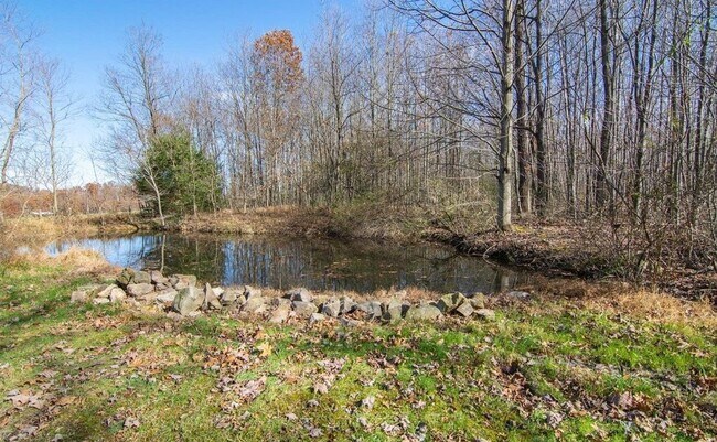 Building Photo - 156 Chestnut Grove Rd