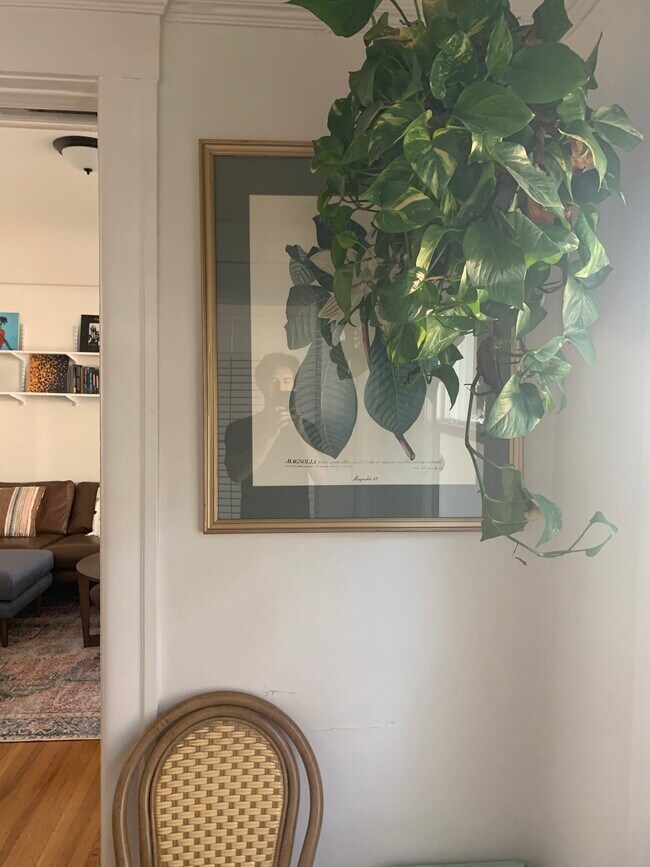 Foto del edificio - 4604 Lexington Ave