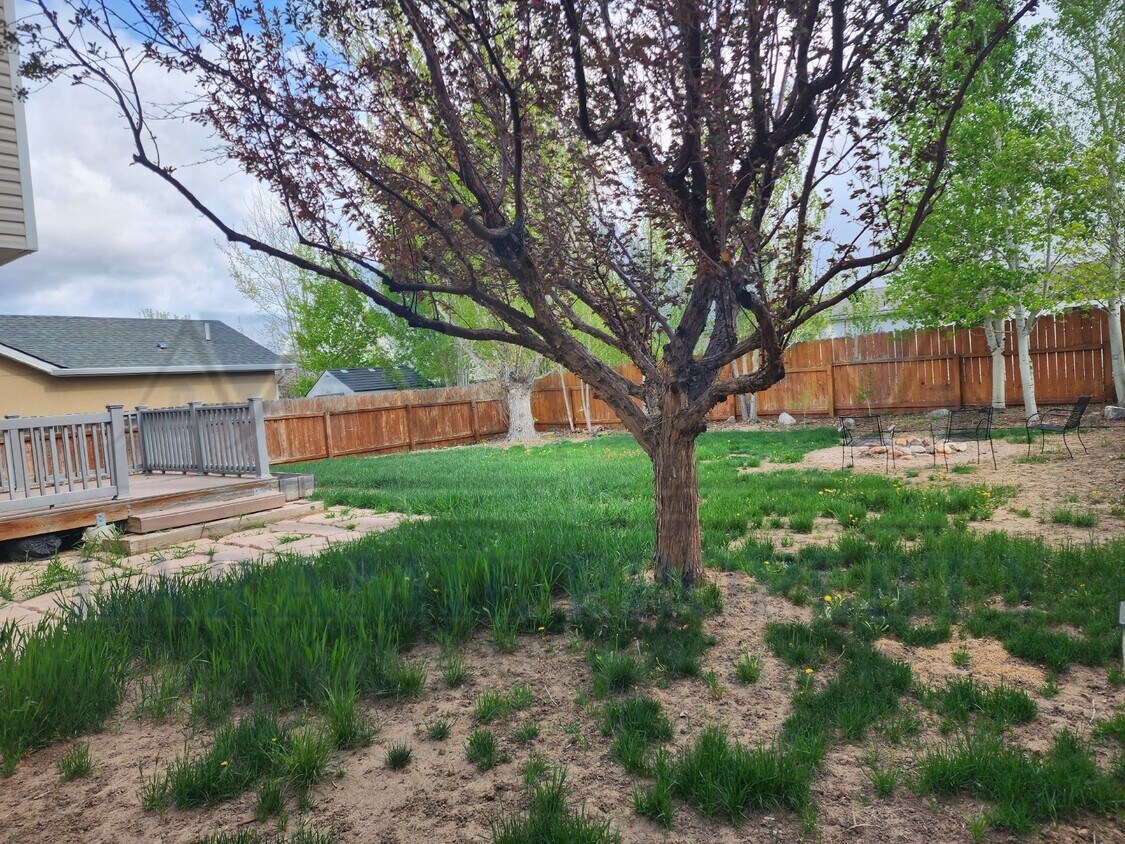 Primary Photo - Charming 3 Bedroom Home in Laramie, WY