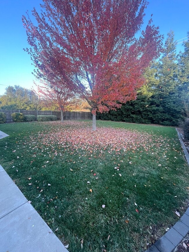 Foto del edificio - NICE HOME IN GRANITE BAY!!