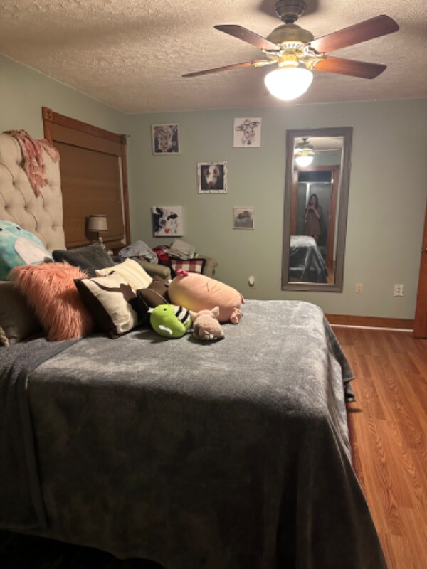 Building Photo - 2235 Pine Cove Trail