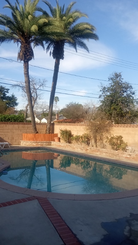 Photo - 2403 W Verdugo Ave (Burbank, CA)
