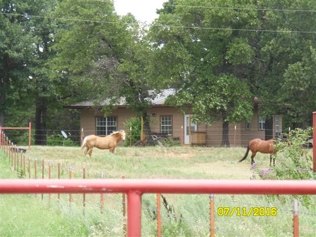 Primary Photo - 11619 Coyle Rd