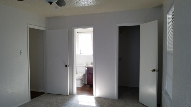Master with Walk-in Closet - 7636 John T White Rd