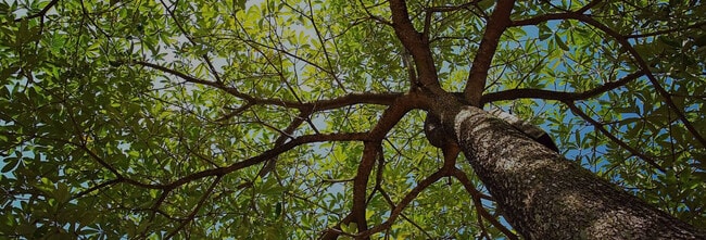 Building Photo - Valley Brook Townhomes