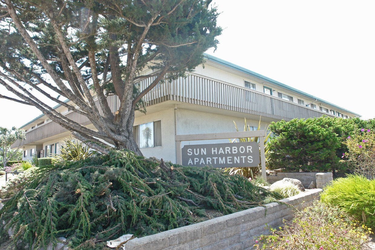 Building Photo - Sun Harbor Apartments