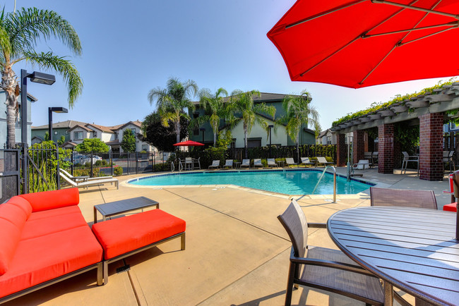 Resort Style Pool - Terraces at Stanford Ranch