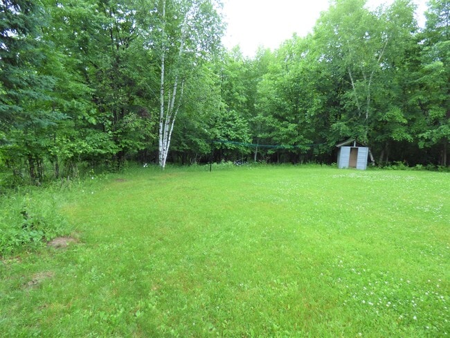 Back Yard - 1809 East 41st Street