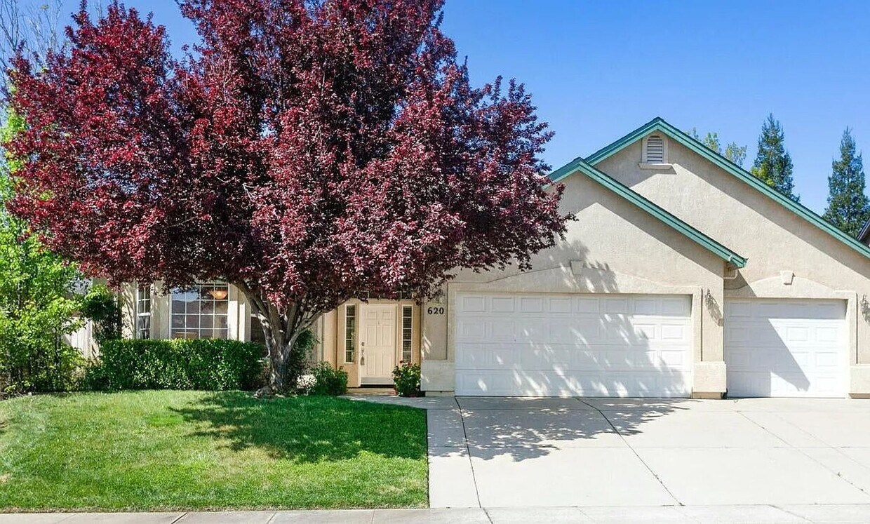 Foto principal - Spacious Home Near Mountain View School wi...