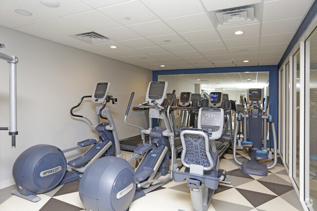 Gold S Gym Venice Beach The Best Beaches In World Gold S Gym Venice Beach The Best Beaches In World