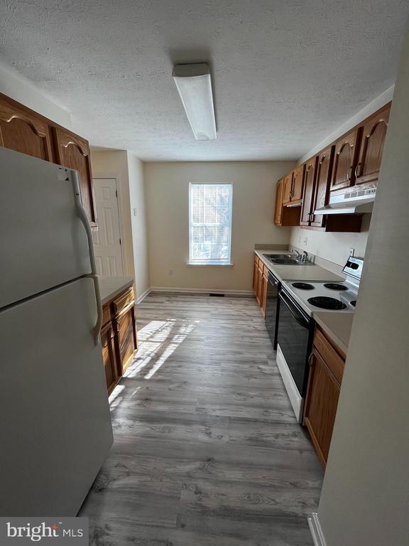 Primary Photo - 219 Sherando Cir