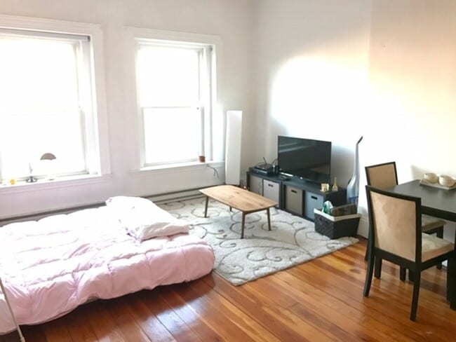 Brookline Studio – Lower Beacon – No Broker Fee – Hot Water Included – 9/1 - Brookline Studio – Lower Beacon – No Broker Fee – Hot Water Included – 9/1 Apartment
