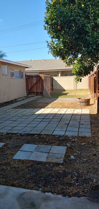 Backyard - 2589 Orange Ave