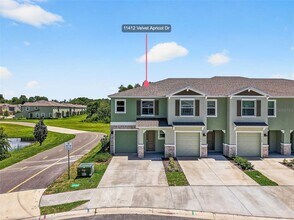 Building Photo - 11412 Velvet Apricot Dr
