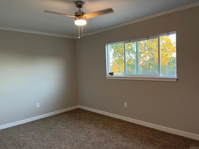 Foto principal - 4112 Lewis St