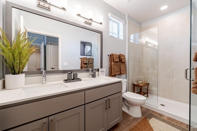 Solara Vista apartments — community photo - Solara Vista