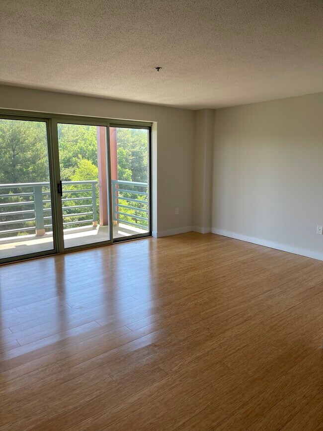 Sala de estar - 273 Cambridge Rd