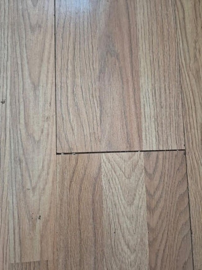 Foto del edificio - 933 Highland Trails Ave