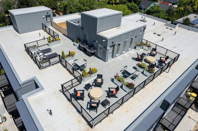 Interior Photo - Paceline