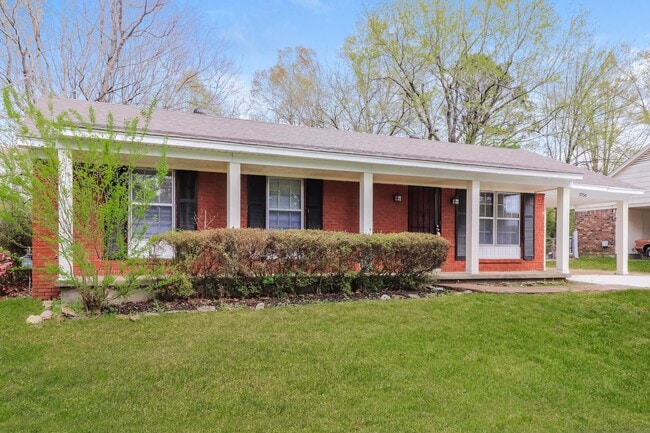 Building Photo - 3756 Socorro St