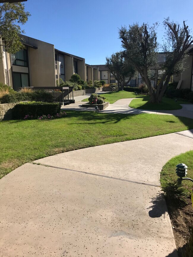 Well maintenanced landscaping - 3520 Maricopa St
