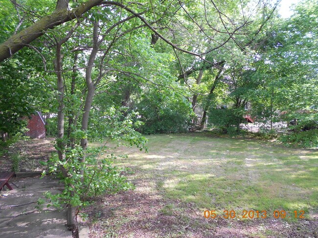 Rear Yard - 212 Franklin St