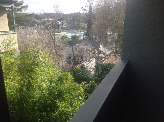 View From Deck - 40 Foster St