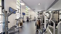 Located at 1201 Race St in San Jose, California, this well-equipped fitness center offers a thoughtfully designed exercise space that accommodates a comprehensive range of workout routines. The room's most striking architectural feature is its soaring double-height ceilings, paired with expansive floor-to-ceiling windows along multiple walls that flood the interior with abundant natural light and offer views of the surrounding greenery, creating an open and energizing atmosphere.

The flooring throughout consists of durable rubberized gym matting, providing both safety and comfort during workouts. Cardio equipment is well-represented, with treadmills, elliptical machines, a stair climber, stationary bikes, and rowing machines positioned to take advantage of the natural light and outdoor views. A dedicated strength training zone includes a multi-station cable machine, a full rack of dumbbells, adjustable benches, medicine balls, TRX suspension trainers, and plyometric boxes for functional fitness training.

A large, bold motivational mural spans one of the upper walls, adding an energetic and urban aesthetic to the space. Full-length mirrors on the strength training walls enhance the sense of openness. Modern pendant lighting complements the natural light, and wall-mounted flat-screen TVs provide entertainment during workouts. The overall design is contemporary, functional, and visually dynamic.