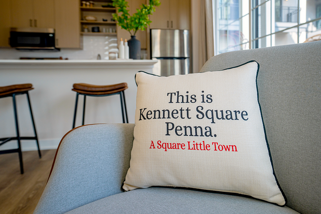 Kennett-Square-Couch-Kitchen-Pillow - Kennett Square Apartments