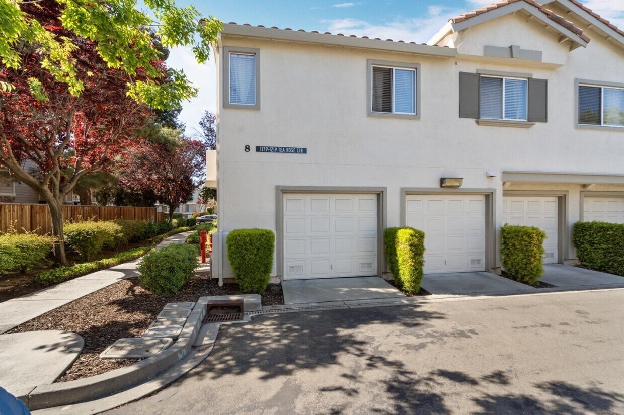Primary Photo - 1219 Tea Rose Cir