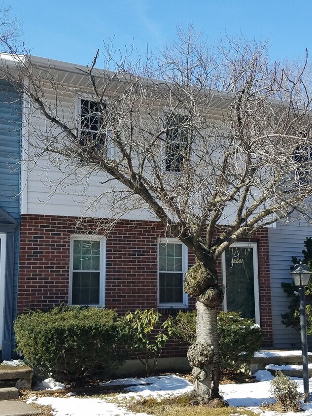 Primary Photo - 1751 1st St