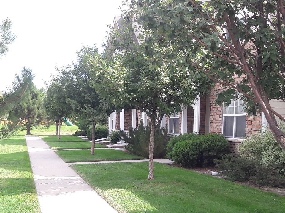 Primary Photo - 3654 Ponderosa Ct