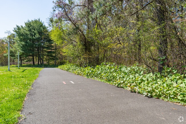 Residents can enjoy the walking trails through Charlie Bowen Recreational Complex in Pine Hill.