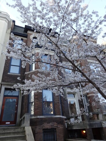 Building Photo - 1918 Calvert St NW