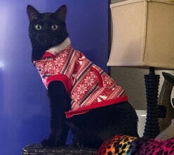 Building Photo - 8653 Danridge Dr