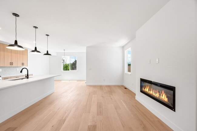 Building Photo - Brand New 3BD, 4BA Half-Duplex in Villa Park with Back Yard